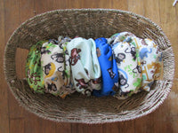 TADA AIO Set of 6-Fruit of the Womb Diapers